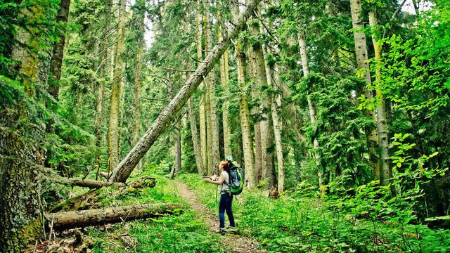 Боржоми неподалёку