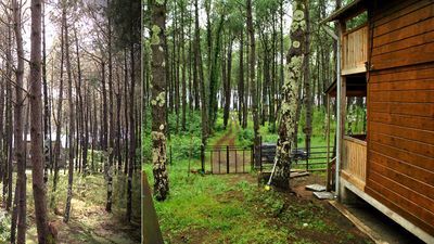 Шекветили_3