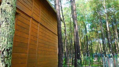 Шекветили_4