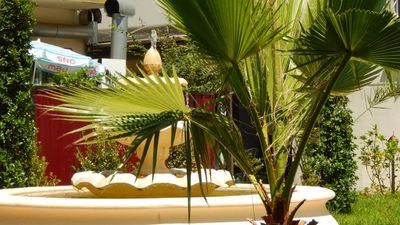 Золотое руно_7