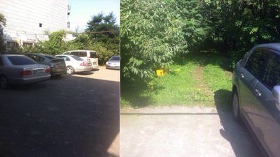 Агмашенебели 488_3