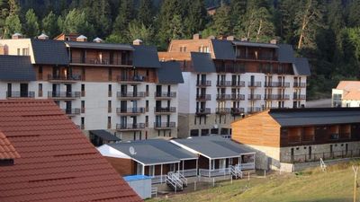 Апартамент Теи в Мгзавреби Бакуриани_2