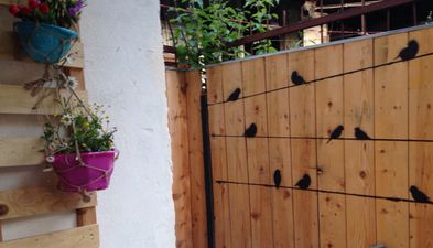 Апартамент Мая 3_3