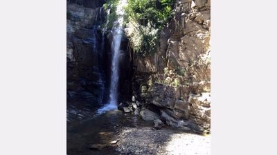 Вайн Гарден_2