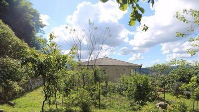 Зелёный дом_7