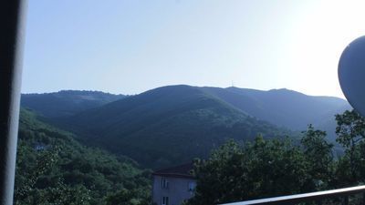 Лучший хозяин_7