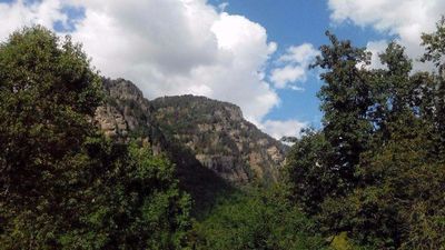 Гостевой дом Гулико Маргиани_5