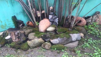 Зандукели Инн_2