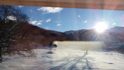 Дом возле леса_5