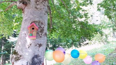 Панорама Бакуриани_7