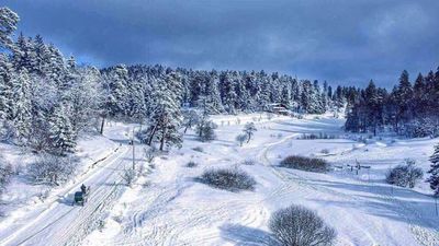 Бакуриани Мгзавреби кв. 220_6