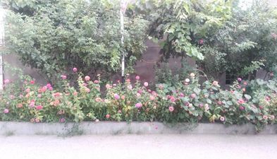 МАРТИНЕНКО_3