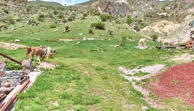 Агротуристическая Ферма Тиреби_8