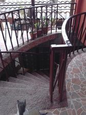 Владелец в Сигнаги_5