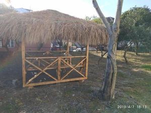 Семейный отель Колхи_2