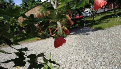 Семейный отель Колхи_6