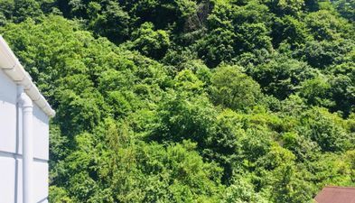 Семейный отель Колхи_8