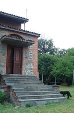 Дом в лесу_1