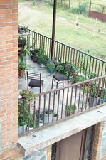 Дом в лесу_4