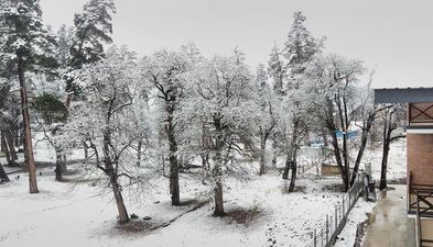 Бакуриани Парк Резиденс номер 47_4