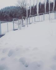 Коттедж в Бакуриани_4