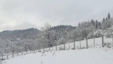 Коттедж в Бакуриани_7