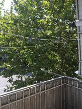 Квартира Алеко_2