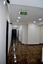 Три пингвина_3