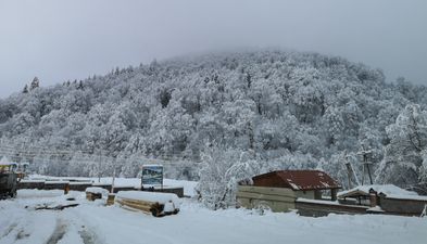 Дидвели Шале Леле 146_5