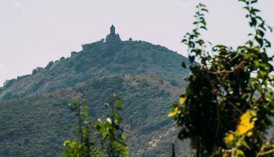 Болниси Прайм Хаус_3