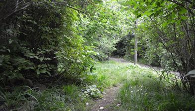 Апартамент в Телави_4