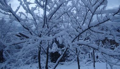 Цветные коттеджи_8