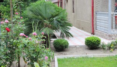 Oтель оникс_8