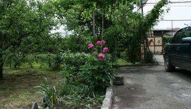 Велисцихе_3