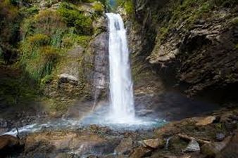 Добрый Дом_3