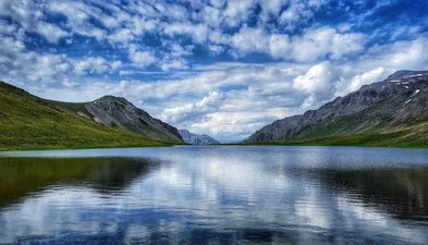 Добрый Дом_5