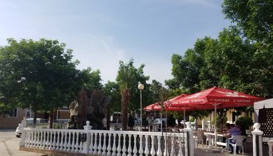 селика (серго)_4