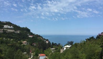 Оранжевый дом_5