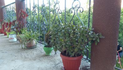 Гостевой дом в Тбилиси_3