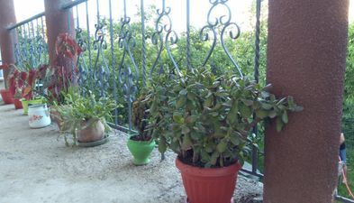 Гостевой дом в Тбилиси_5