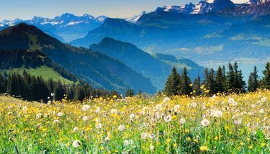 Гостиница Мгзавреби 8-ой корпус_9