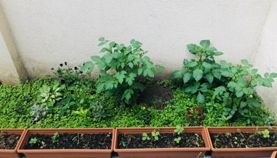 Центральный апартамент_2