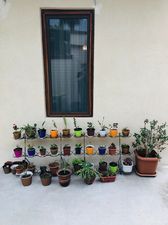 Центральный апартамент_3