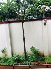 Центральный апартамент_6