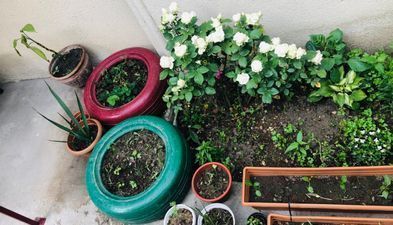 Центральный апартамент_7