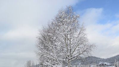 Бакуриани Ризортс_4