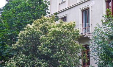 Эксклюзивная квартира в самом сердце Старого Кутаиси_5