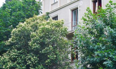 Эксклюзивная квартира в самом сердце Старого Кутаиси_6