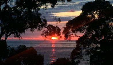 Апартамент/2_5