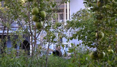 Старые ворота_3